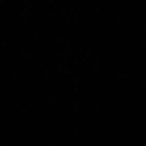 Meet your Posher, Jade